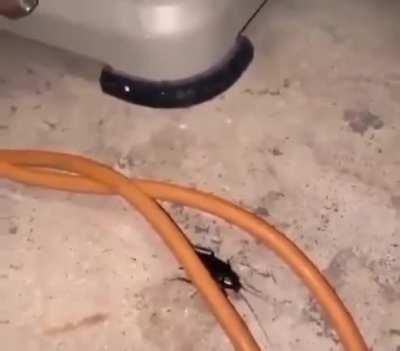 A heartwarming friendship