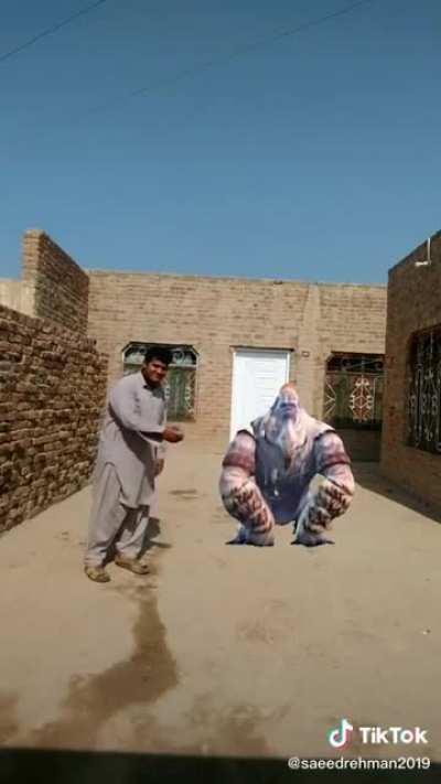 Rare footage of man getting close to gorilla yeti