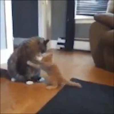 You've Got A Lot To Learn Son.