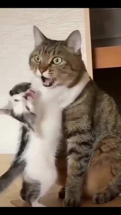 Me when i have to look after my siblings...