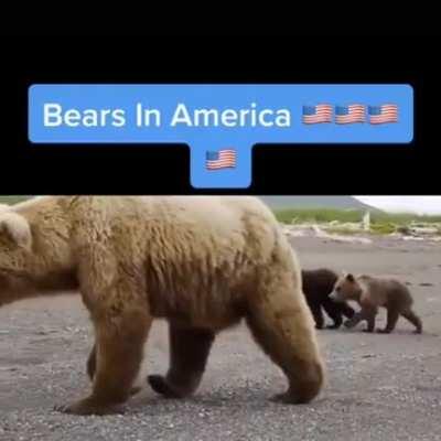 Os russos tão em outro nível kkk