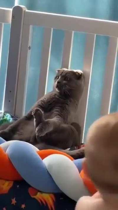 cat: he's close! he's close!