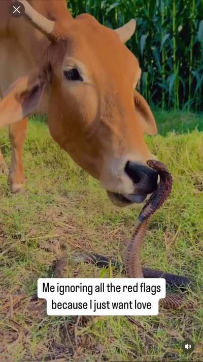 Chahiye thoda pyaar 😭