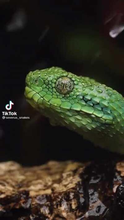 Don’t forget to drink water