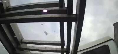 Ladder goes jousting