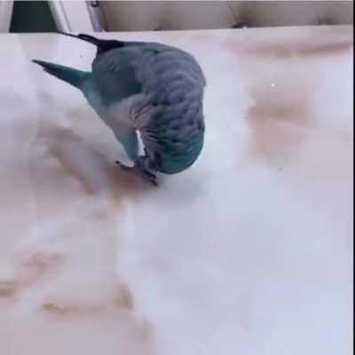 This guy has the drone controller!!