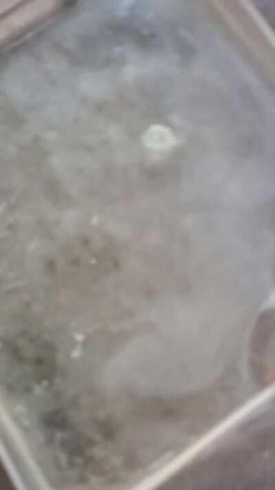 PhukiN hurts everytime 😭 A small sacrifice to keep you from saying my shit isn't 💯💥 on e again proving to a person they know shit.