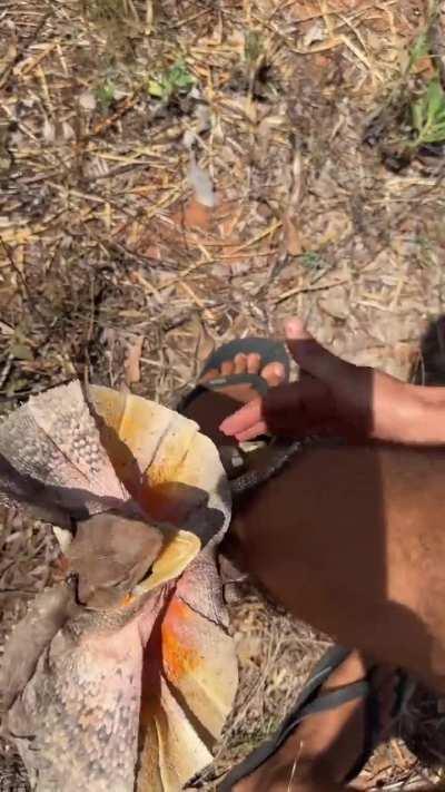 Aw. Little scare tactics 