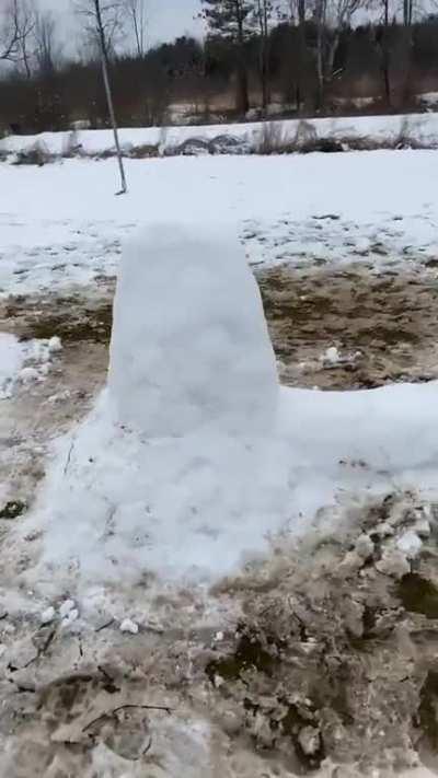 A-snow-gus with massive feet