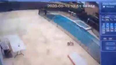 Caution: cars might disturb your swimming session