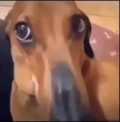 Twitter mfs on December 25 when someone liked wlr