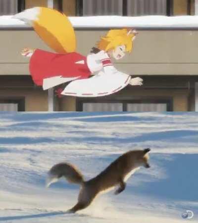 Senko jumping on snow