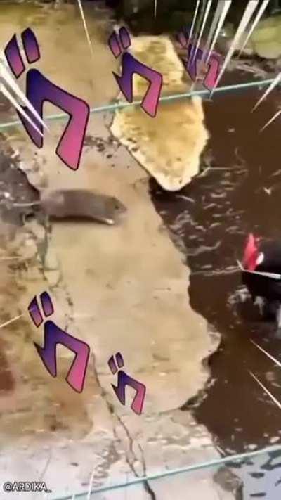 The rat gangsta until Magician's White come out.