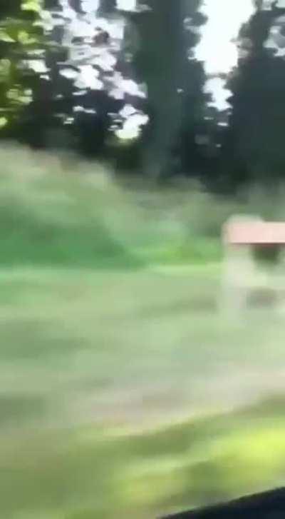 Sigma rule #41 Destroy everyone weaker as you