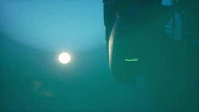 Is it a bird? Is it a plane? No, it’s a bird