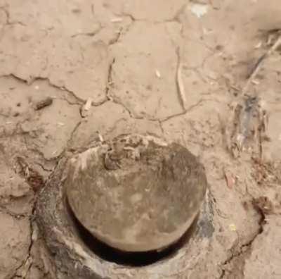 “Privacy, please!”