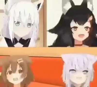 🐺🦊🐱🐶