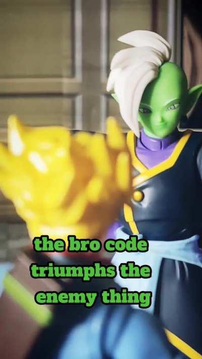 Bro Code (Stop-Motion by Me)