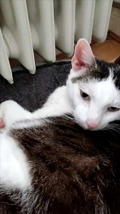 This is her application for this sub!