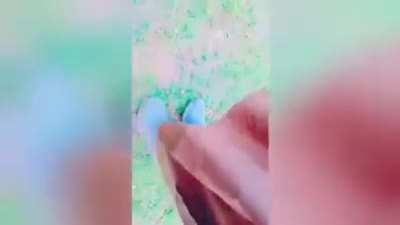 Pakistani Tiktoker gun “prank” goes horribly wrong