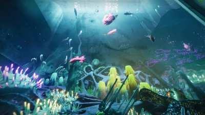 Guys I think something's wrong with the fish....