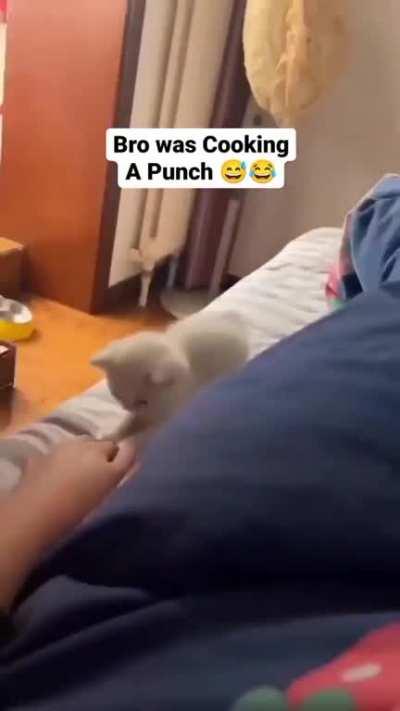A powerful punch Launcher