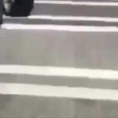 With no interns this summer I’m going to miss reactions like these when they find a $2 variance.