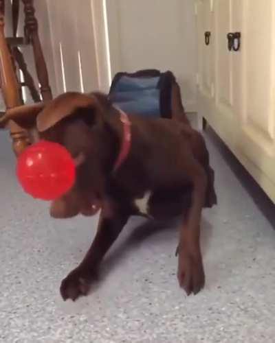 Keep your eyes on the prize.