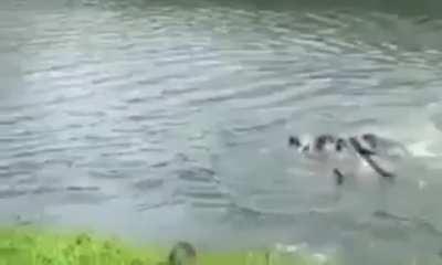 Audio recommended. We are looking at others, riding to death.