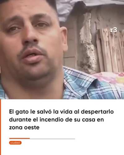 Gato héroe salvó a su dueño de un incendio en Rosario