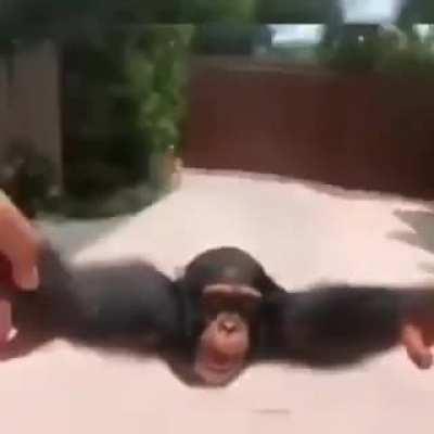 in case your humor is shit