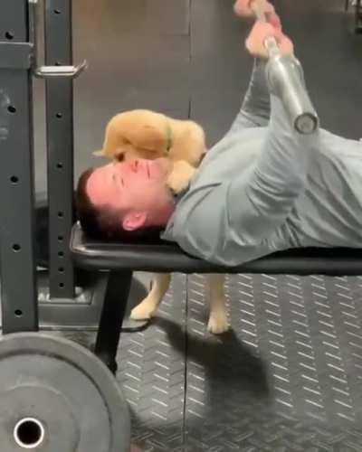 Trying to work out with a doggo