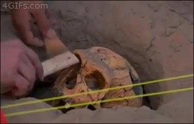 [Media] Using the trowel on soil like