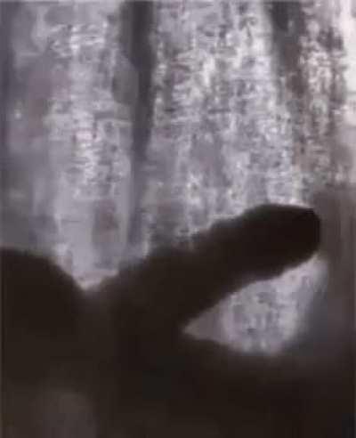 New App - CatRoulette