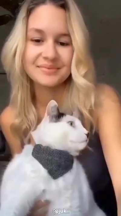 wtf?! croat cat?!!😱😱😱😱