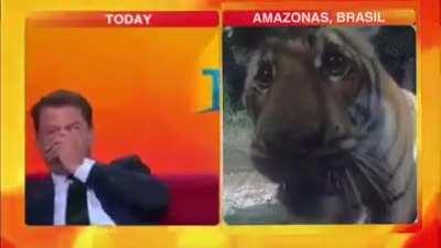 Luangameplay666 - Video #0665