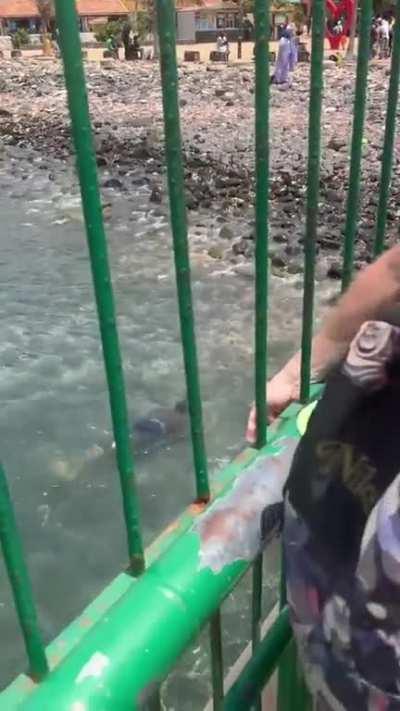 Tourists throwing coins at senegalese locals for them to catch while swimming