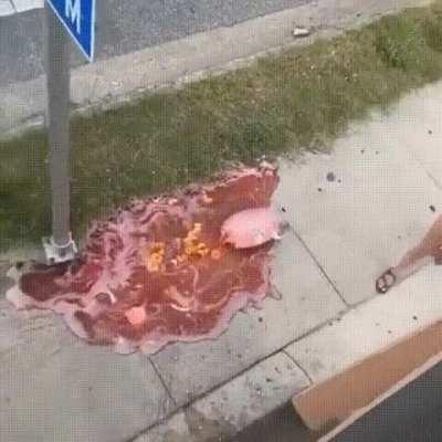 Trying to drink alcohol from strangers one story above you. OP: u/Idontlikejokes