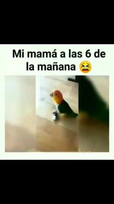 That shit was definitely on purpose