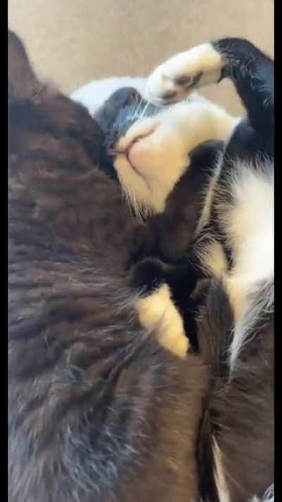 They needed each other