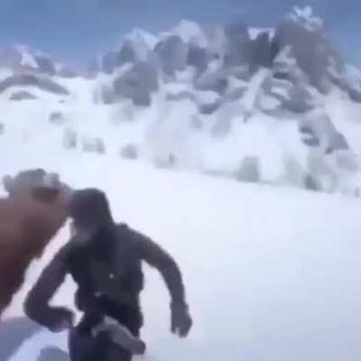 Love the new boxing dlc for red dead redemption 2