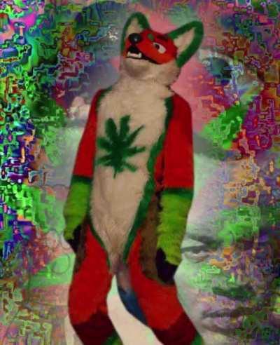 Weed_irl