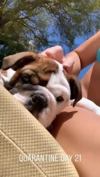 Thank me later... 🐶