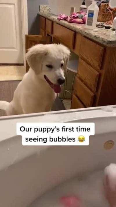 No Bubbles