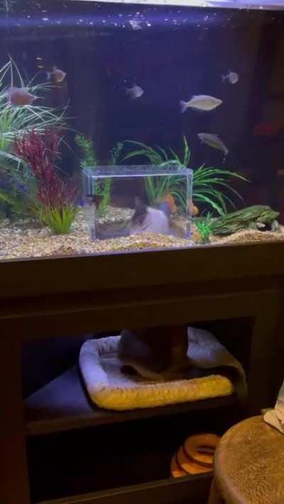 Ain't this interesting! (Not mine)