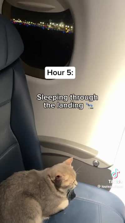 He should not be allowed on a plane!