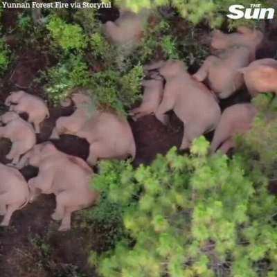 Community Nap Time...