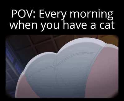 Every... single... time...