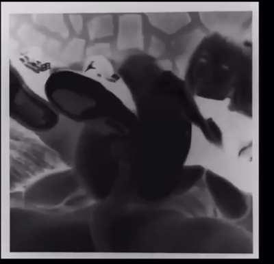 “Oh God Make Me Cum”🫢