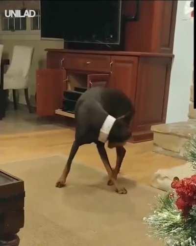 Just trying to scratch her back